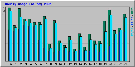 Hourly usage for May 2025