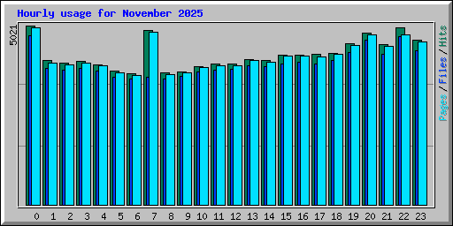 Hourly usage for November 2025